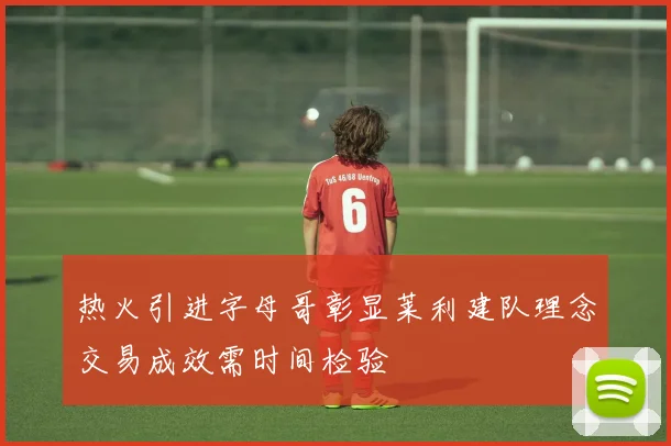 热火引进字母哥彰显莱利建队理念交易成效需时间检验