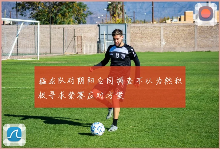 猛龙队对阴阳合同调查不以为然积极寻求禁赛应对方案