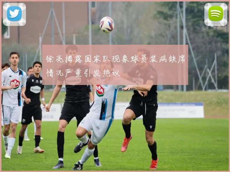 徐亮揭露国家队现象球员装病缺席情况严重引发热议